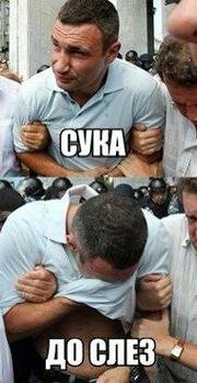 "Маленький пешеход пытается перейти дорогу, слава богу его научили это делать, а то сюда по нашим водителям, он бы уже был сбит."
и после этого еще и
"Осторожно нецензурная лексика!"