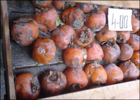 Так и водитель ауди никуда не перестраивается. Он просто тупо поворачивает вторым рядом в нарушении пдд и осознанно и агрессивно создаёт аварийную ситуацию и конфликт,по сути не из чего. Как баба,в общем,только без салата.:) И в данном случае рег никому ничего не должен. Помеха справа,в конце концов, и трудности- это у водителя ауди,а не у рега.

И что такого в этой "ауди",я не понимаю. Машина как машина,как и многие другие. Это не Феррари,не Роллс Ройс,не Мазерати и даже не Порш.
А если этот дурак и считает себя "корольком",то только таким :) :