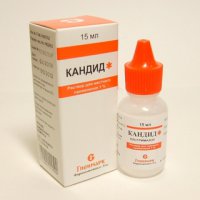 Кандид, а не все вот это.