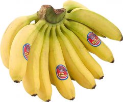 Давайте посчитаем: 450 депутатов по 5000 рублей=2250000 рублей.
Крымское шампанское:от 1000 до 7000 за бутылку. По 200 грамм на брата, то по максимуму на шампунь ушло 900000 рубликов, зал они не снимали (экономия акуительная) и бухали в стенах госучереждения, за такие косяки другие категории граждан лишаются должностей и получают штрафы. Ну  и на остатки -1350000 рублей накупили бананов и тарталеток (клубника к шампанскому-от 1500 за кг, на всех 67500 рубликов ( по 100 грамм), бананчики: килограмм 30 на всех по 300 р/кг=27000 рублей. Ну и ничего и не осталось....жалко депутатов...но что поделаешь,кризис он у всех!