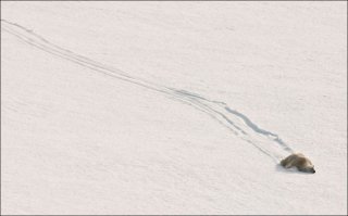 я сегодня так же добирался до работы