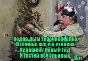 18 нетерпеливых котов, которые уже начали праздновать Новый год
