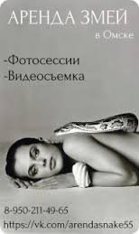 Великая и ужасная российская аренда 