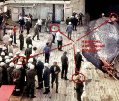 Советские китобои