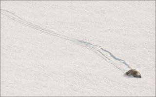 Еду, еду, еду, еду я... (Чиж и Компания)