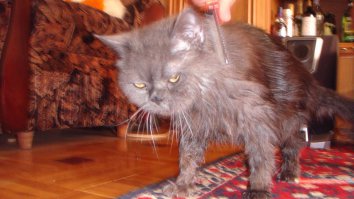 Мстя моя будет страшна!!!