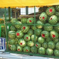 Я даже не знаю насколько сильно нужно хотеть арбуза, чтобы пойти на такое.