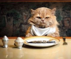 Скумбрия пряного посола