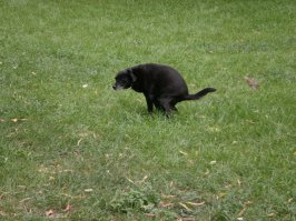 У всех есть право запатентовать свой продукт