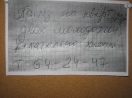 Великая и ужасная российская аренда 