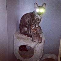 Невероятные взгляды