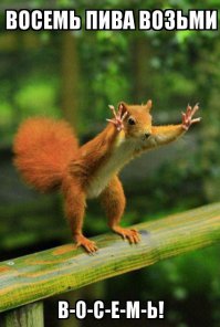 К нам на работу пришёл бельчонок!