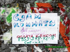 Великая и ужасная российская аренда 