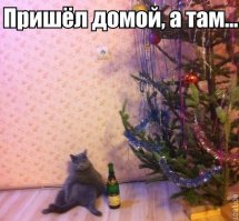 50 котеек, которые помогают наряжать елку и делают Новый год незабываемым