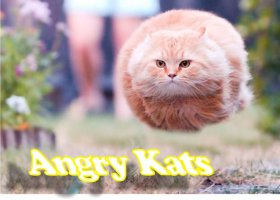 33 фотографии, снятые в идеальный момент