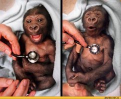 Фотоподборка за 22.12.2015