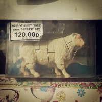 Конструктор юнный мясник