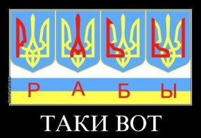 В полиции работают весёлые люди!