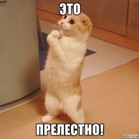 Практичная эстетика