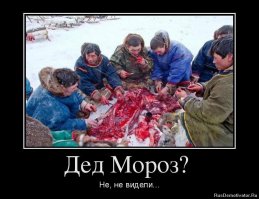 Такими Деда Мороза и Снегурочку вы еще не видели