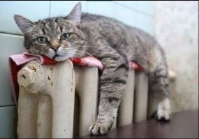 Поздравляю с днём энергетика