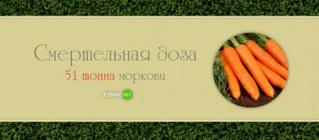 За всю свою жизнь человек съедает около 50 тонн еды, т.е. в случае с морковкой он тупо умирает от старости. Хотя, сдается мне, с таким рационом можно загнуться значительно раньше.