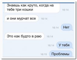 Смешные комментарии и высказывания из социальных сетей