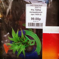 Сразу с уликами, для подбрасывания :)