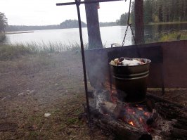 Лето, грибочки