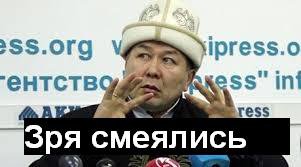 Декабрь на дворе. В Эстонии появились лисички и распустилась верба