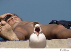 Смешные ситуации, которые могут приключиться на пляже