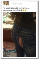 И стоило из за собаки жопу рвать???