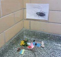 Ну как без хохлов.... :)