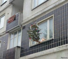 50 котеек, которые помогают наряжать елку и делают Новый год незабываемым