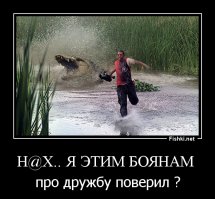 Вопреки законам природы: трогательные примеры дружбы между животными и человеком