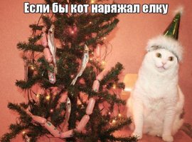50 котеек, которые помогают наряжать елку и делают Новый год незабываемым