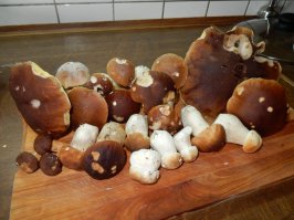 Последний, осенний урожай