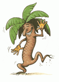 Шагающие пальмы