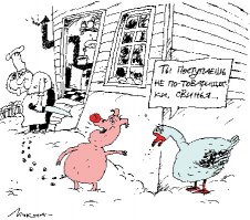 Вопреки законам природы: трогательные примеры дружбы между животными и человеком