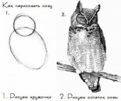 "собираем суп)" напоминает