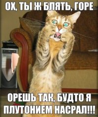 Коты, они же как люди!