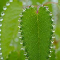 Вы не сможете оторвать взгляд от этих удивительно расслабляющих картинок