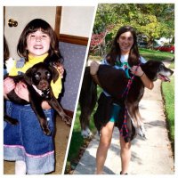 Мне кажется или это разные собаки?