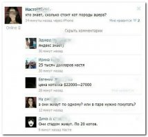Смешные комментарии и высказывания из социальных сетей