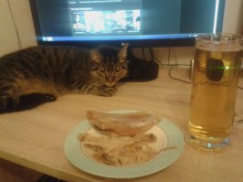 Мой кот до и после: