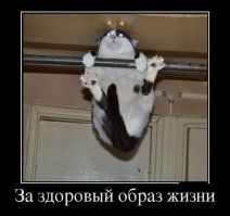 ЗОЖ - это балдёж! 