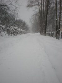 Ну я хз даже... У нас все гуд, НГ как НГ... Завидуйте ;)