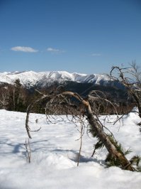 Южно-Сахалинск