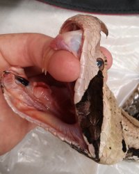 Как угадал с размером.