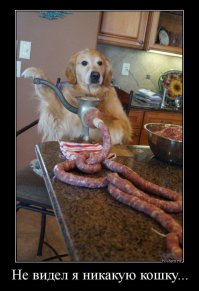 Фотоподборка за 23.12.2015